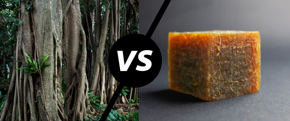 Is Natural Rubber Better Than Synthetic Rubber? Here's What We Know -  RugPadUSA